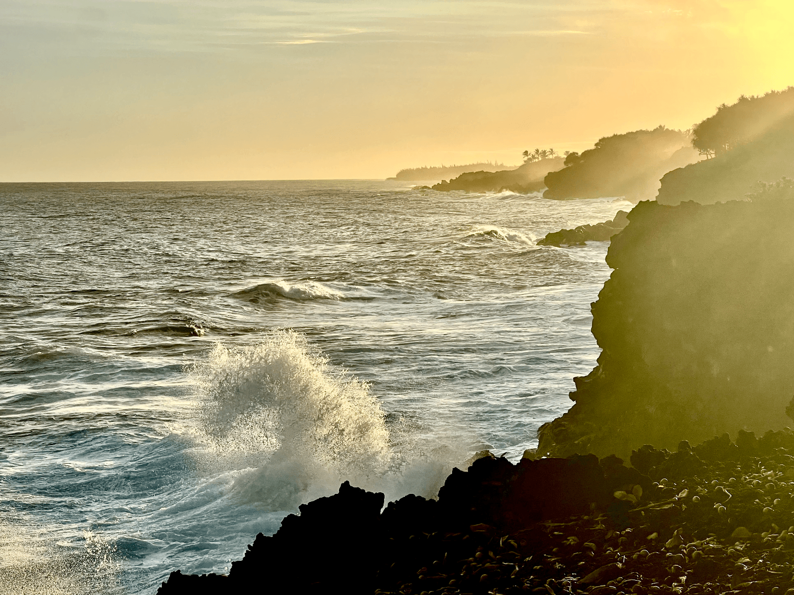 The Places of Power Experience: Hawai’i
